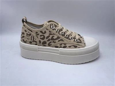 Women Canvas Shoes